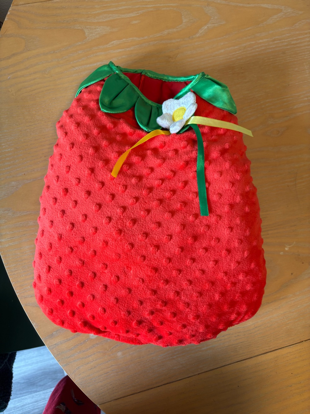 Maggie Woogie Strawberry Dog Costume - M